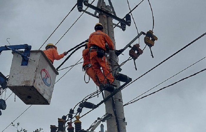 Điện lực Ea H’leo tăng cường công tác bảo vệ hành lang an toàn lưới điện